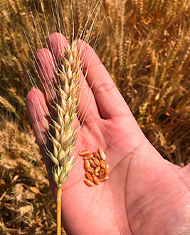 Koçaker Lidaş - Lisanslı Depoculuk Konya